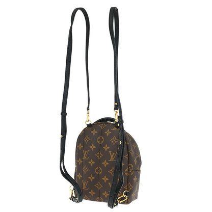 Louis Vuitton Palm Springs Mini Backpack M44873
