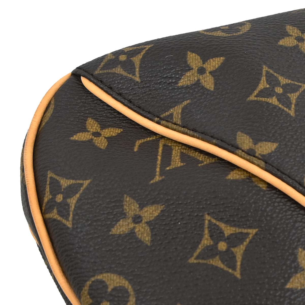 Louis Vuitton Monogram Thames PM Hobo Handbag M56384