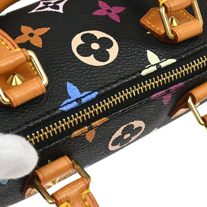 Louis Vuitton Multicolor Mini Speedy Handbag M92644