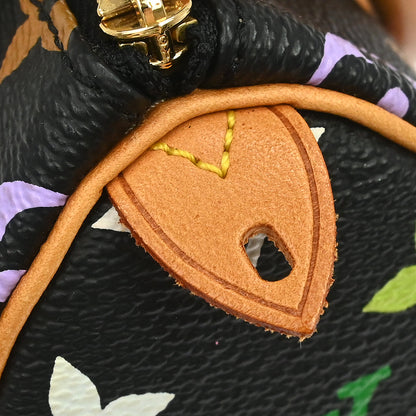 Louis Vuitton Multicolor Mini Speedy Handbag M92644