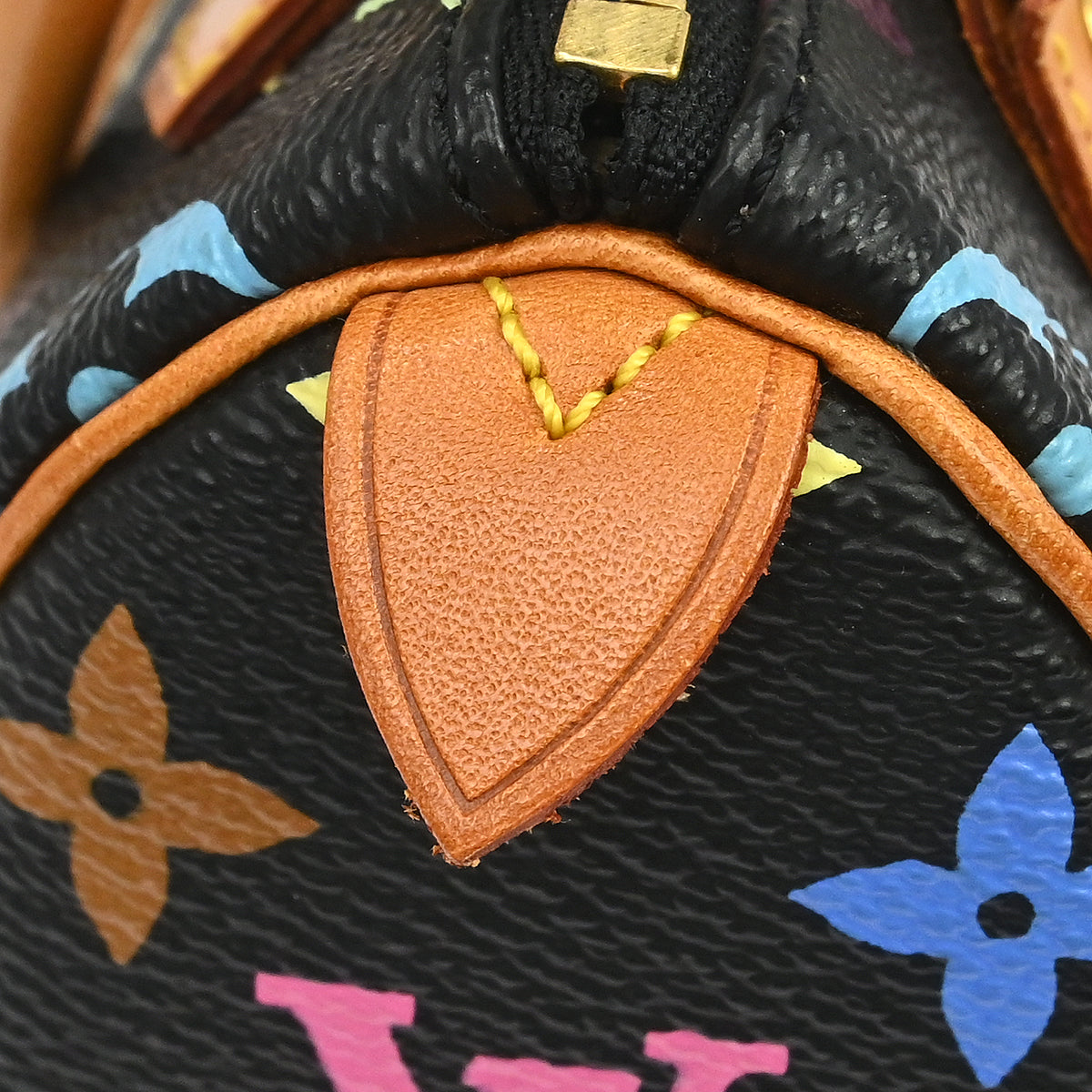 Louis Vuitton Multicolor Mini Speedy Handbag M92644