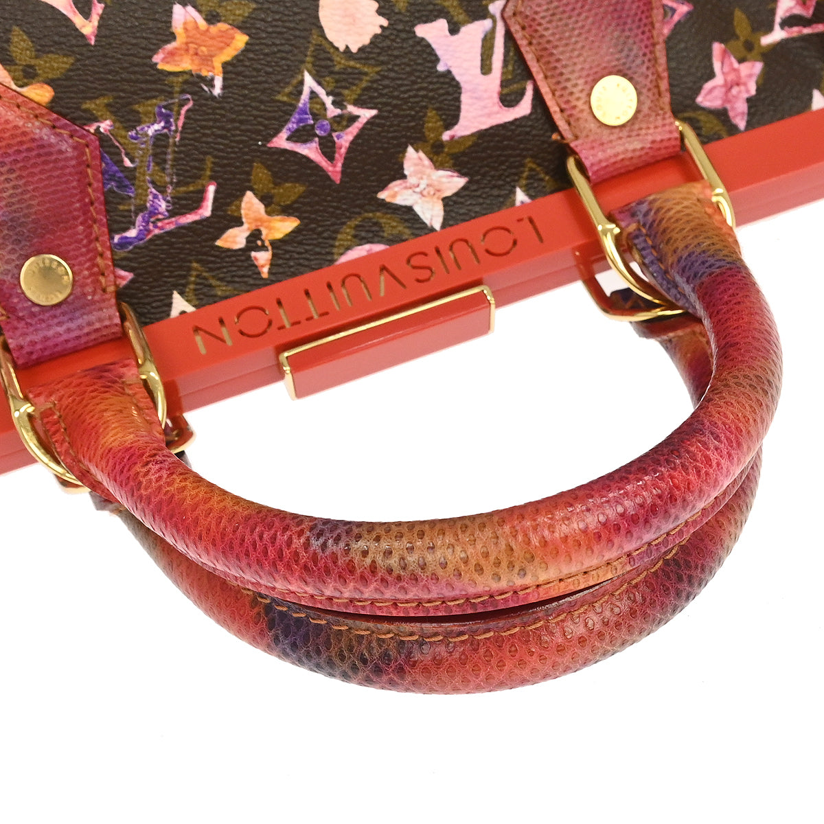 Louis Vuitton * Monogram Watercolor Papillon Handbag M95730