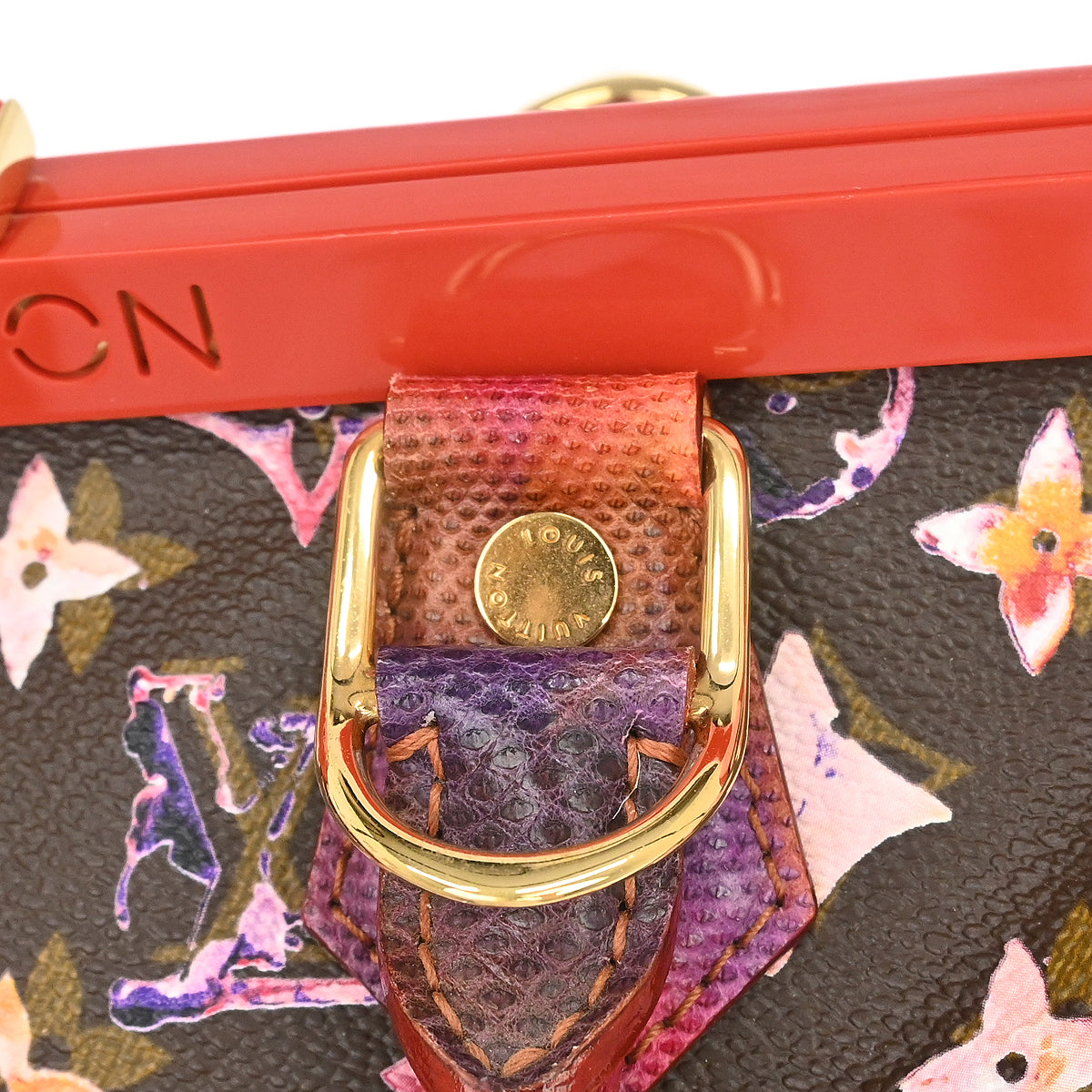 Louis Vuitton * Monogram Watercolor Papillon Handbag M95730
