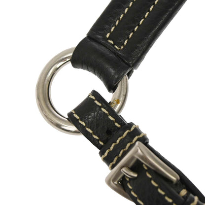Prada Black Calfskin Handbag