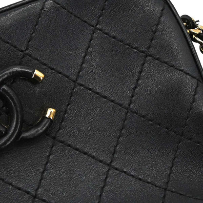 Chanel Black Calfskin Camera Bag Shoulder Bag
