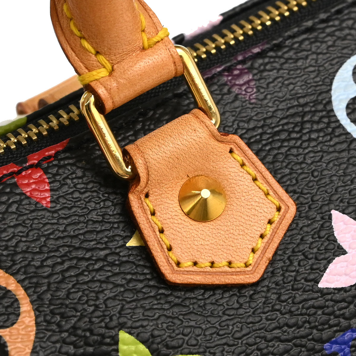 Louis Vuitton Multicolor Mini Speedy Handbag M92644