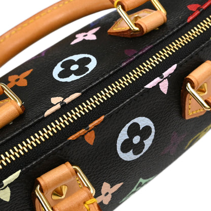 Louis Vuitton Multicolor Mini Speedy Handbag M92644