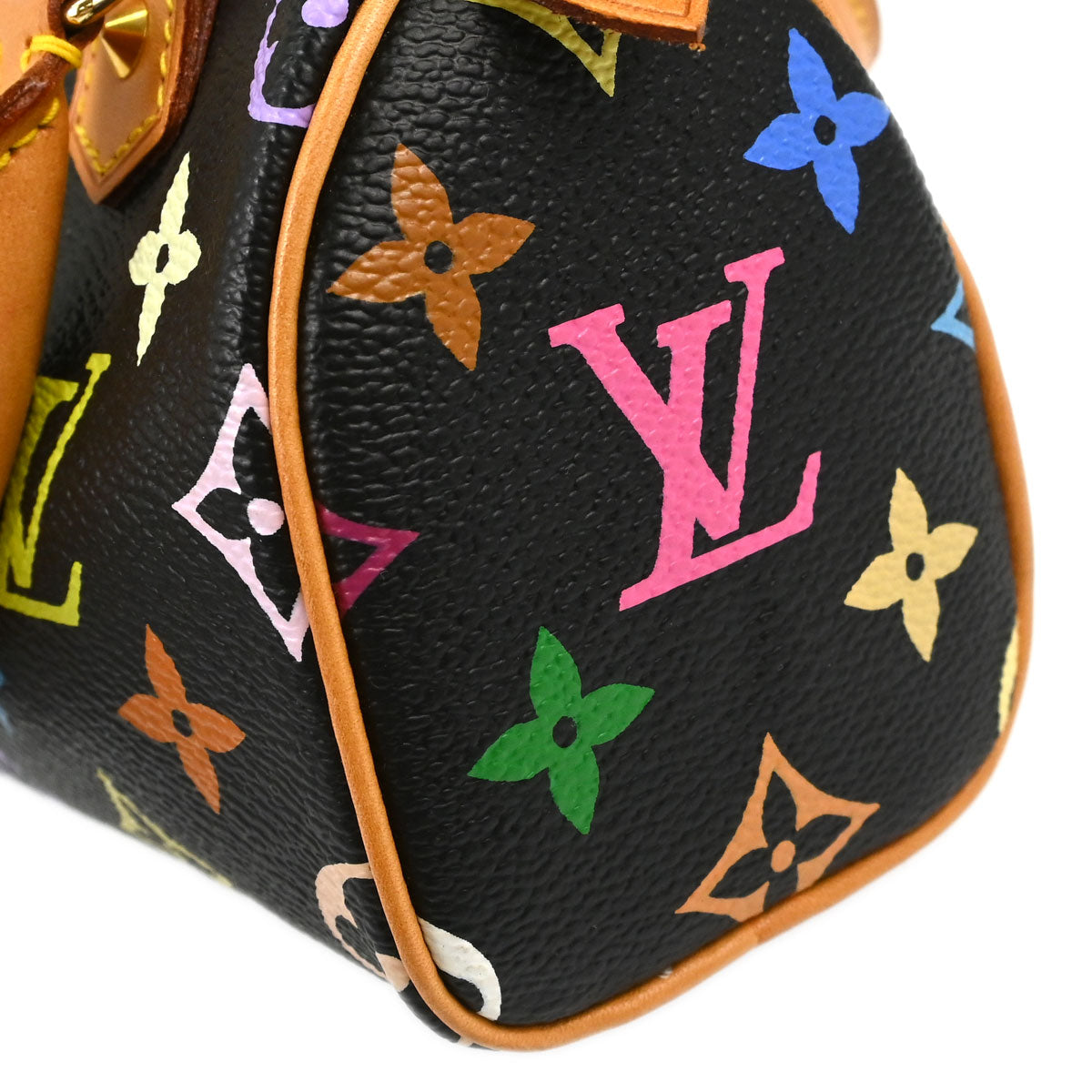 Louis Vuitton Multicolor Mini Speedy Handbag M92644