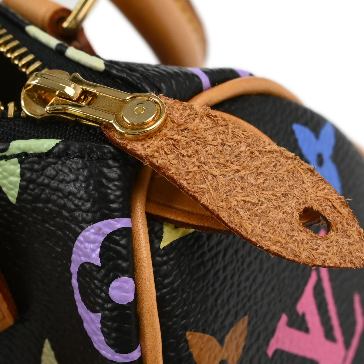 Louis Vuitton Multicolor Mini Speedy Handbag M92644