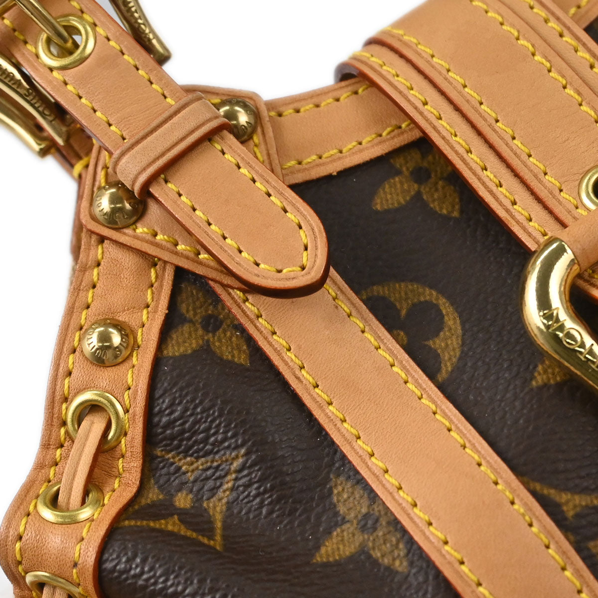 Louis Vuitton Monogram Theda PM Handbag M92399