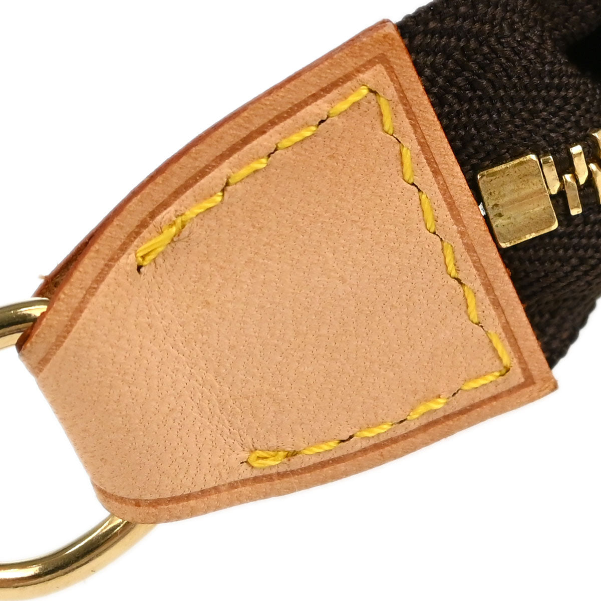 Louis Vuitton Monogram Mini Pochette Accessoires Handbag M58009