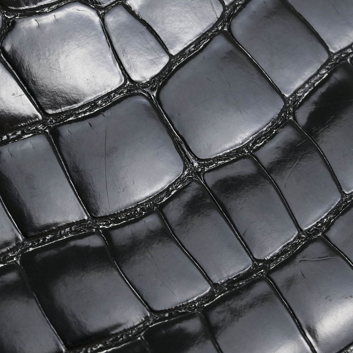 Chanel * 2006-2008 Black Crocodile Handbag