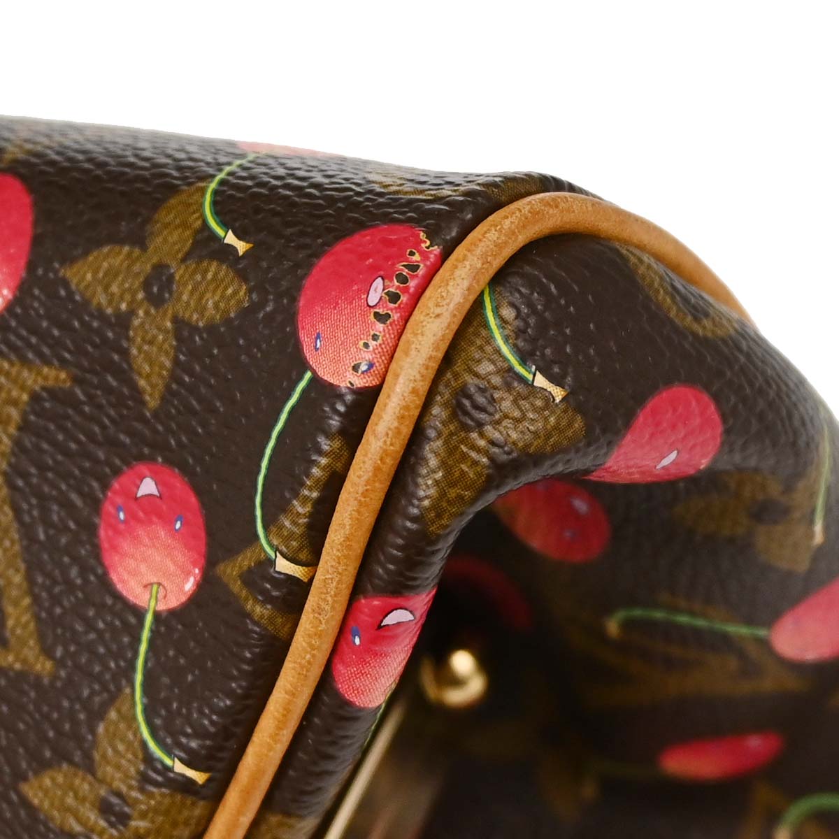 Louis Vuitton * Cherry Lizard Sac Fermoir GM Handbag M95002