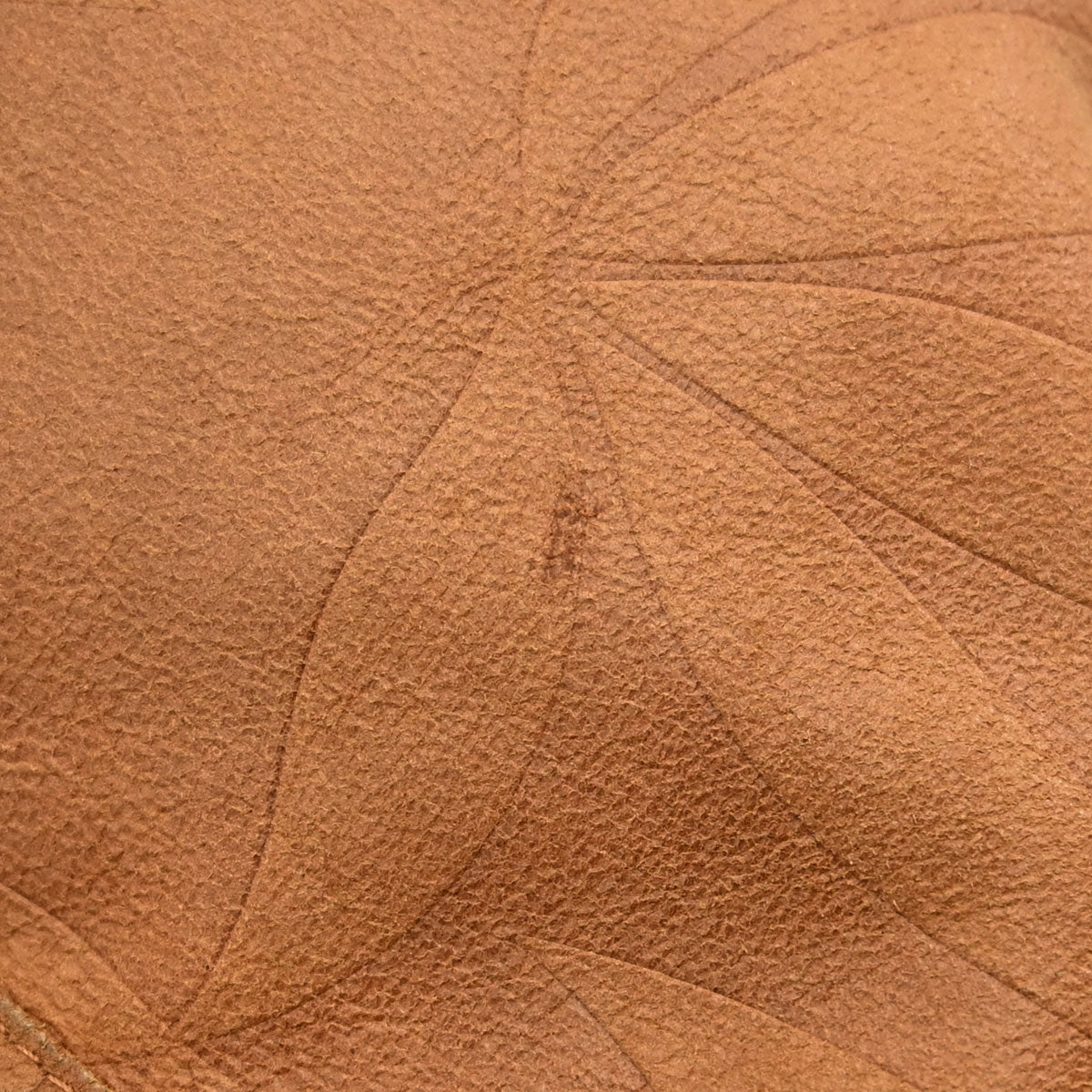 Christian Dior 2002 Goatskin Leather Pants Brown #34