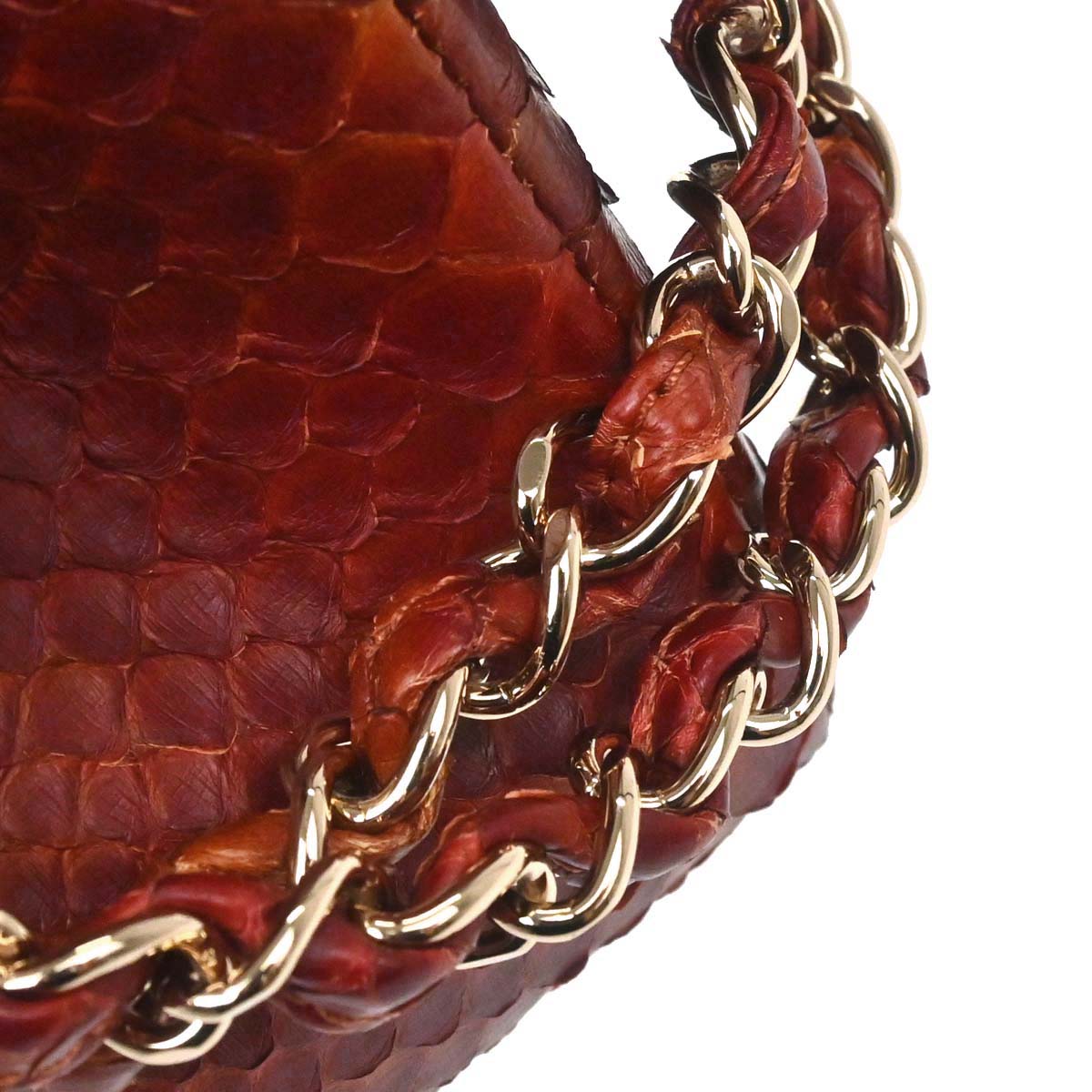 Chanel * Brown Python Medium Classic Double Flap Shoulder Bag