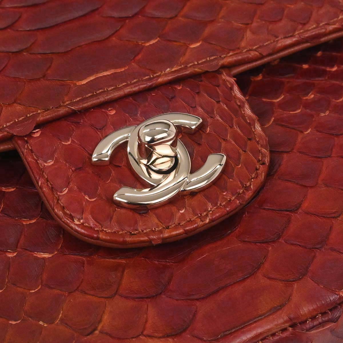 Chanel * Brown Python Medium Classic Double Flap Shoulder Bag