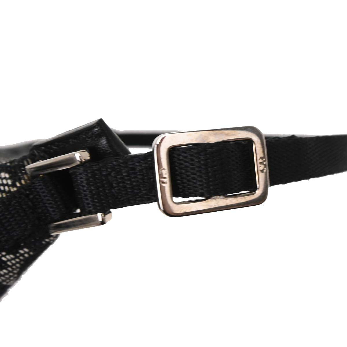 Christian Dior Black Canvas Trotter Handbag