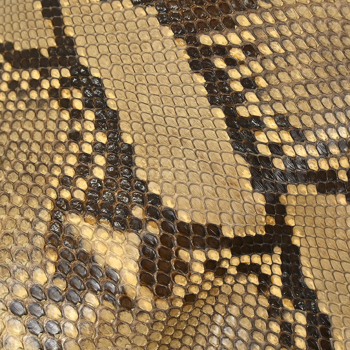 Gucci * Beige Python Bamboo 2way Handbag
