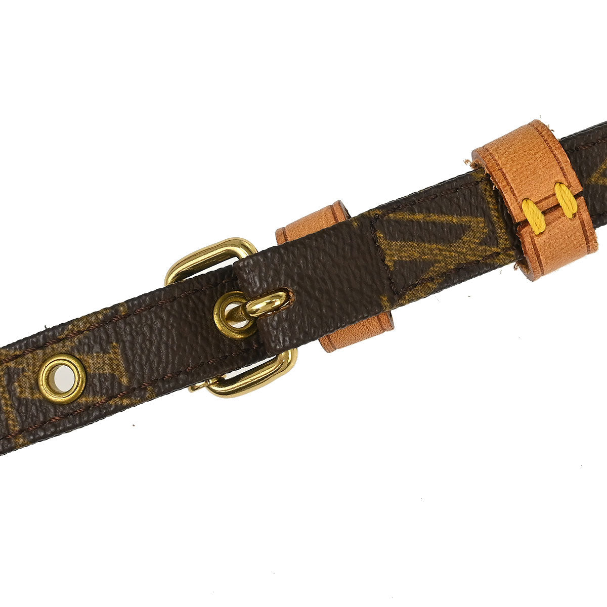 Louis Vuitton Monogram Amazon Crossbody Bag M45236