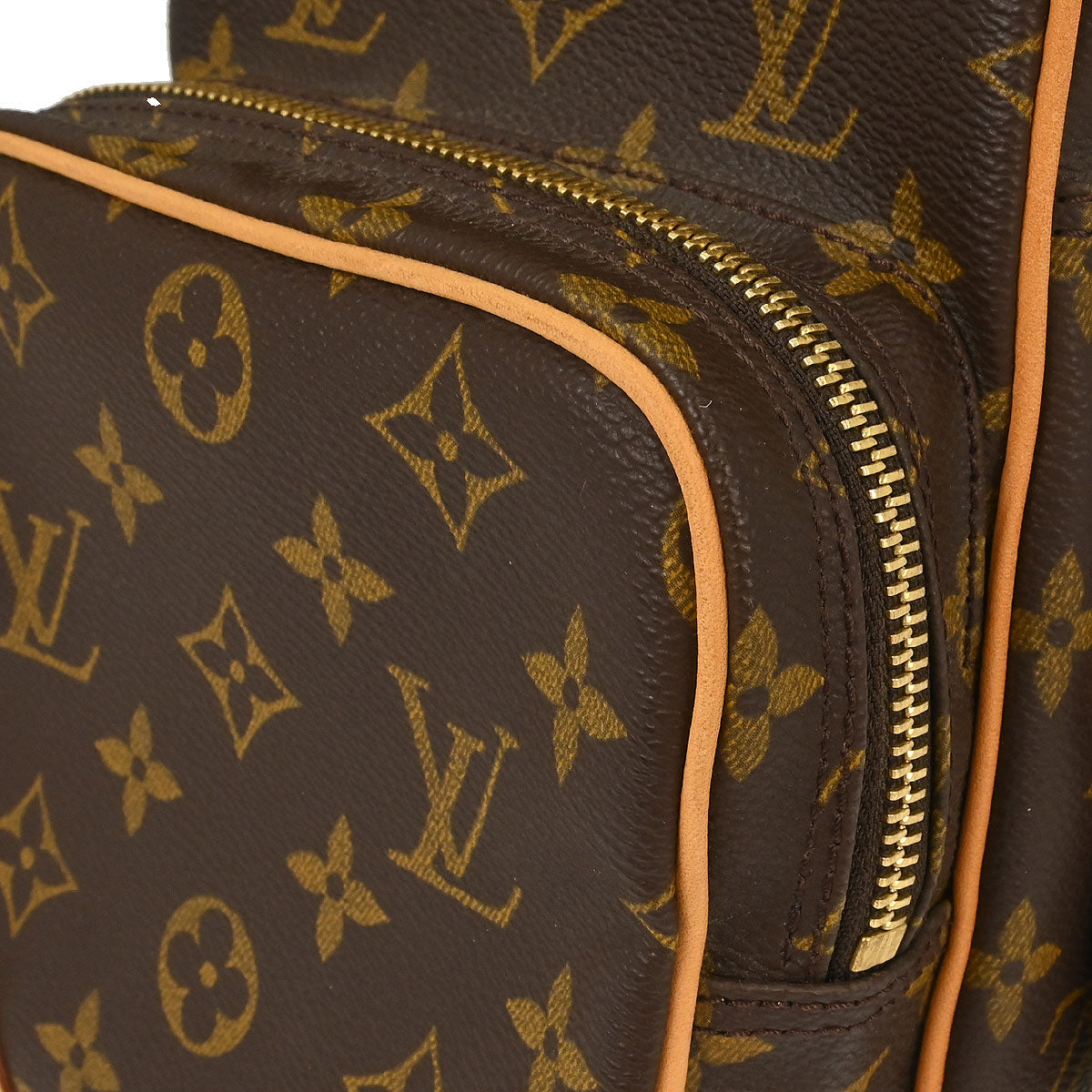 Louis Vuitton Monogram Amazon Crossbody Bag M45236