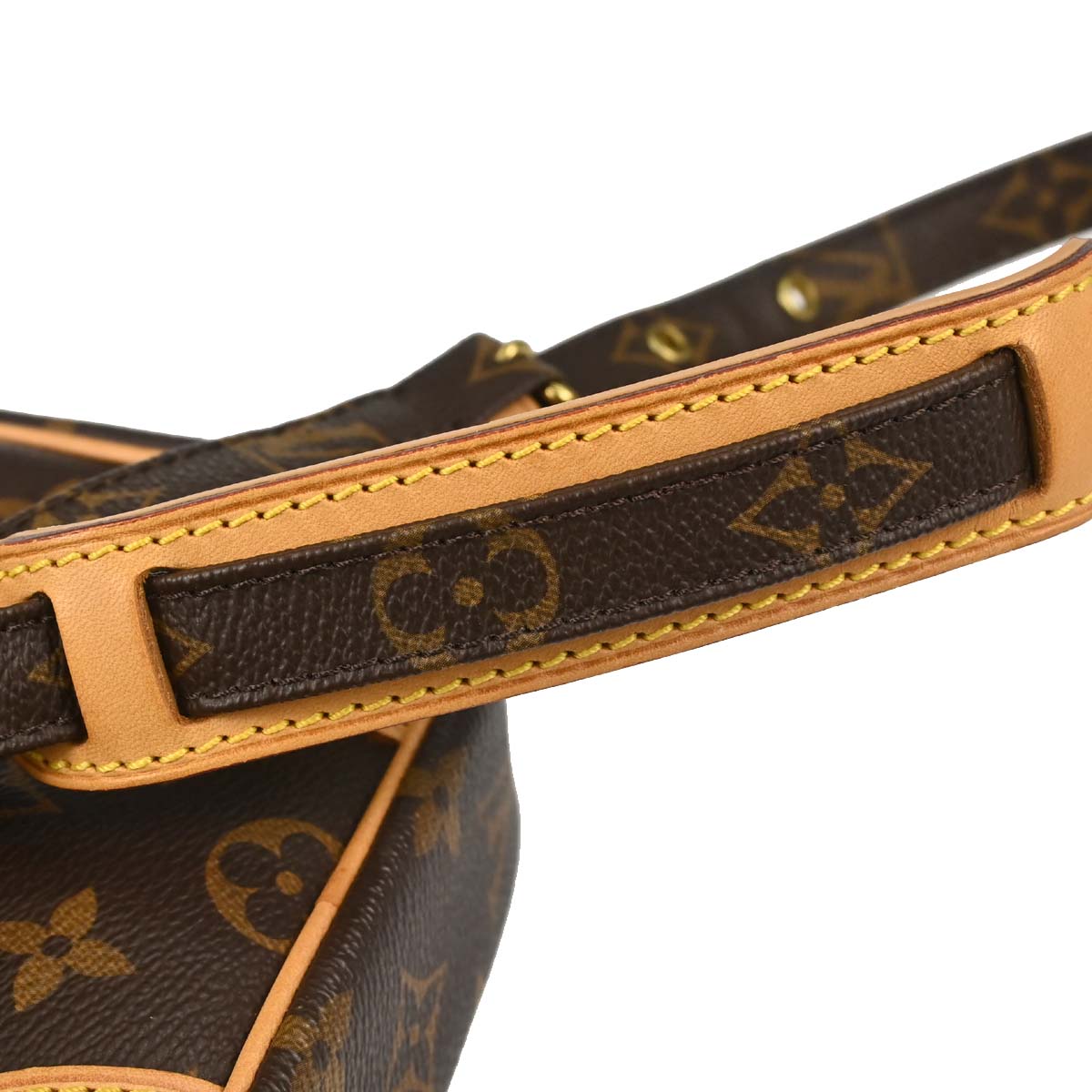 Louis Vuitton Monogram Danube Crossbody Bag M45266