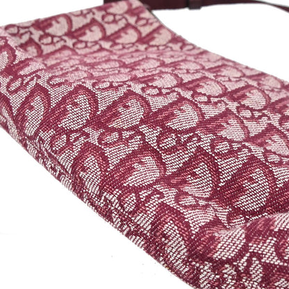 Christian Dior Bordeaux Trotter Handbag