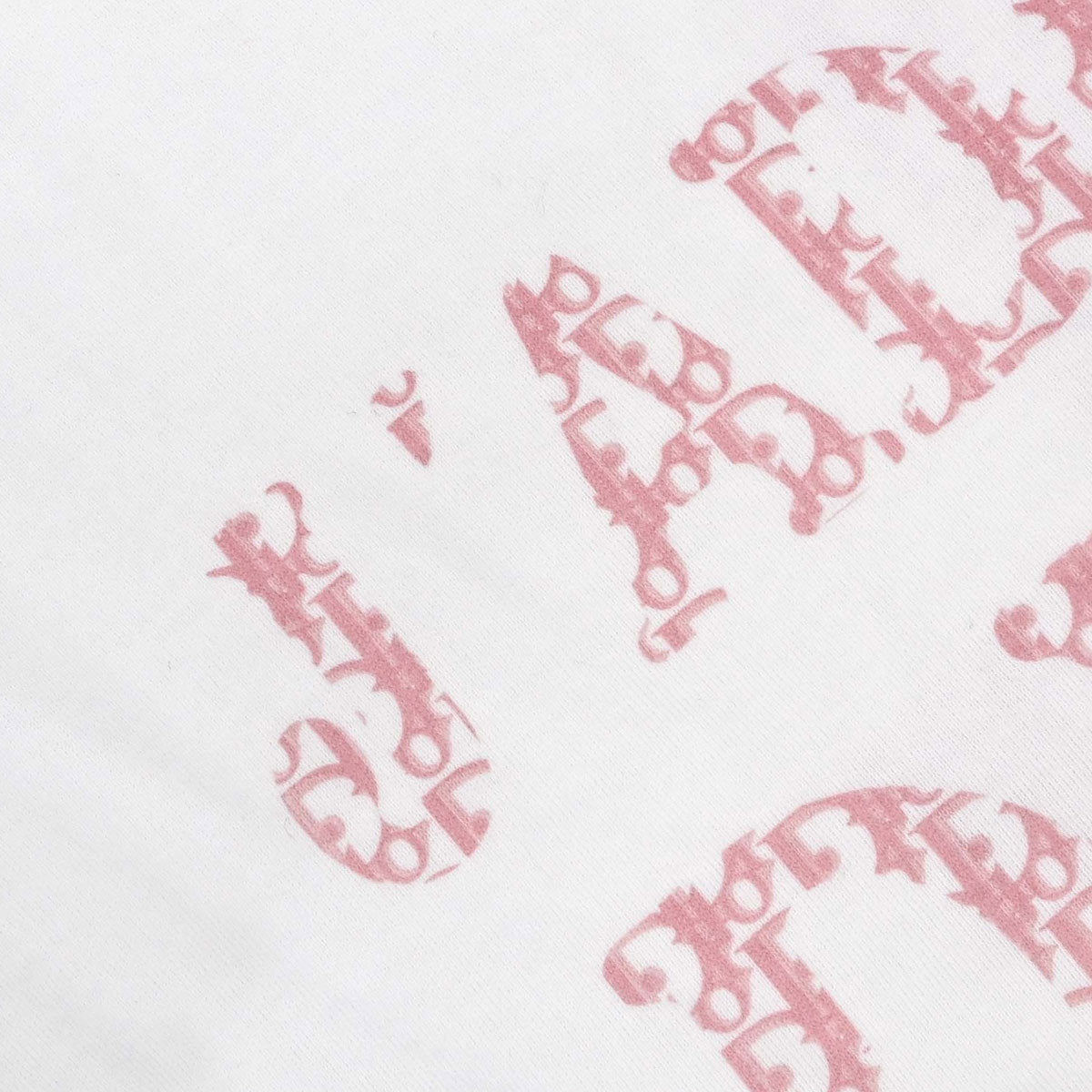 Christian Dior 2004 Short Sleeve T-shirt Top Trotter White #36