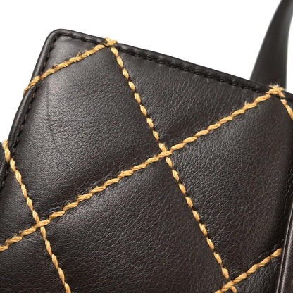 Chanel 2005-2006 Brown Calfskin Wild Stitch Handbag