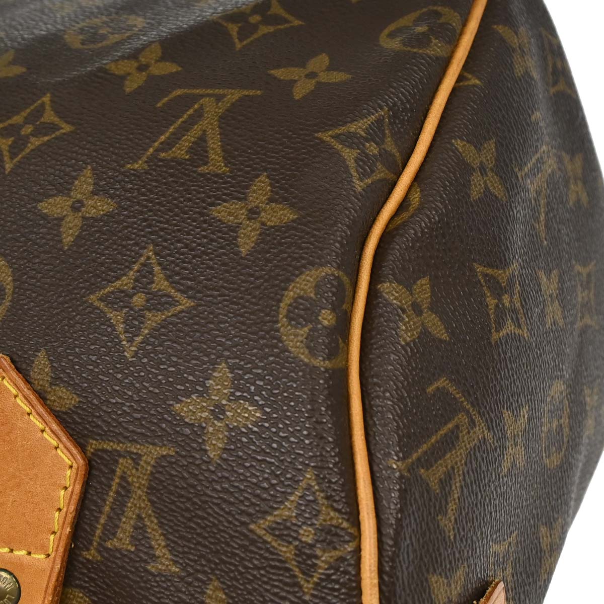 Louis Vuitton Monogram Speedy 25 Handbag M41528