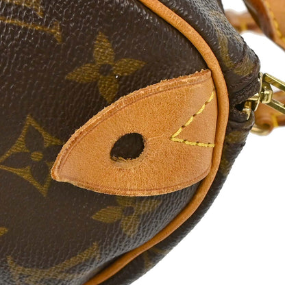 Louis Vuitton Monogram Speedy 25 Handbag M41528