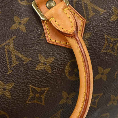 Louis Vuitton Monogram Speedy 25 Handbag M41528