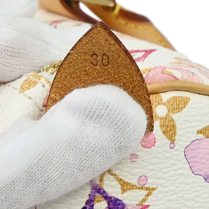 Louis Vuitton Monogram Watercolor Speedy 30 Handbag M95751