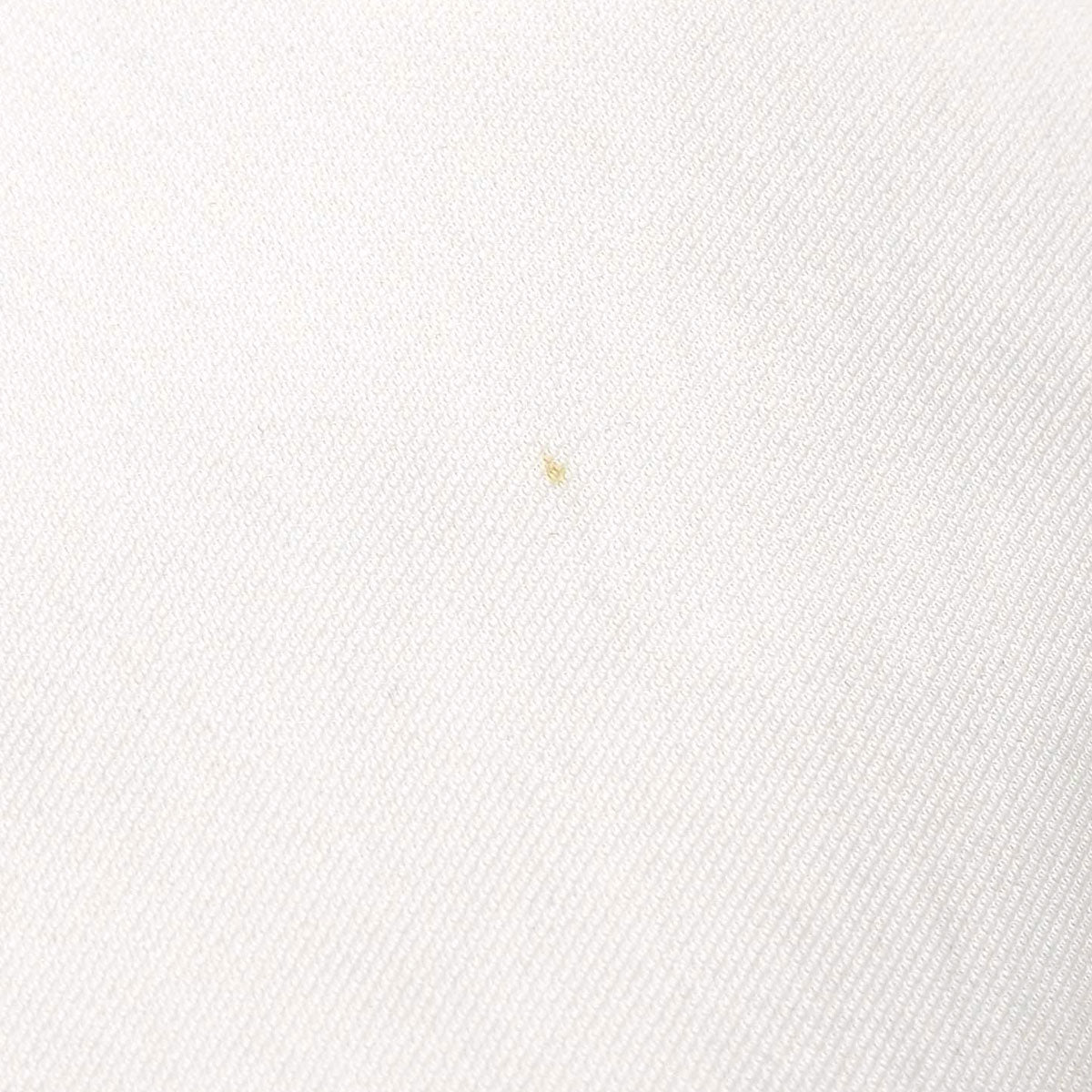 Chanel 1999 Long Skirt White #34