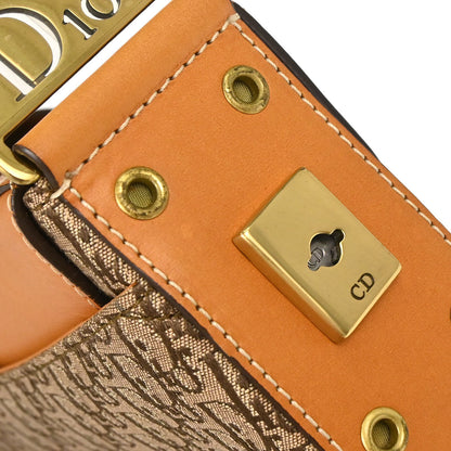 Christian Dior Brown Trotter Street Chic Columbus Shoulder Bag