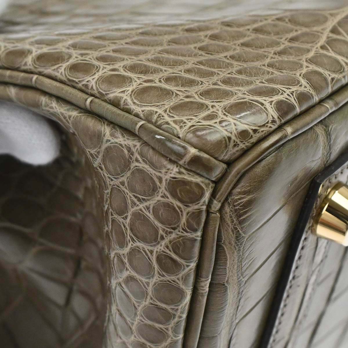 Hermes * Origan Matt Alligator Birkin 25 Handbag