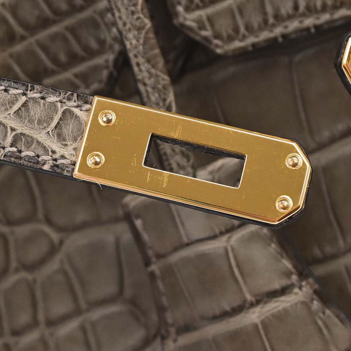 Hermes * Origan Matt Alligator Birkin 25 Handbag