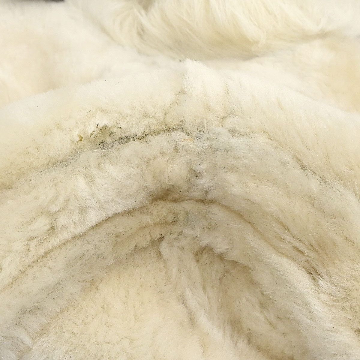 Loewe Ivory Single Breasted Jacket #36