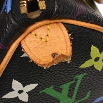 Louis Vuitton Multicolor Mini Speedy 2way Shoulder Handbag M92644
