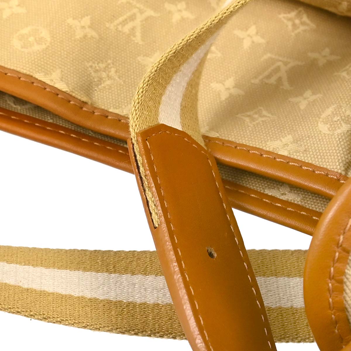 Louis Vuitton Monogram Mini Besace Mary Kate Shoulder Bag M92323