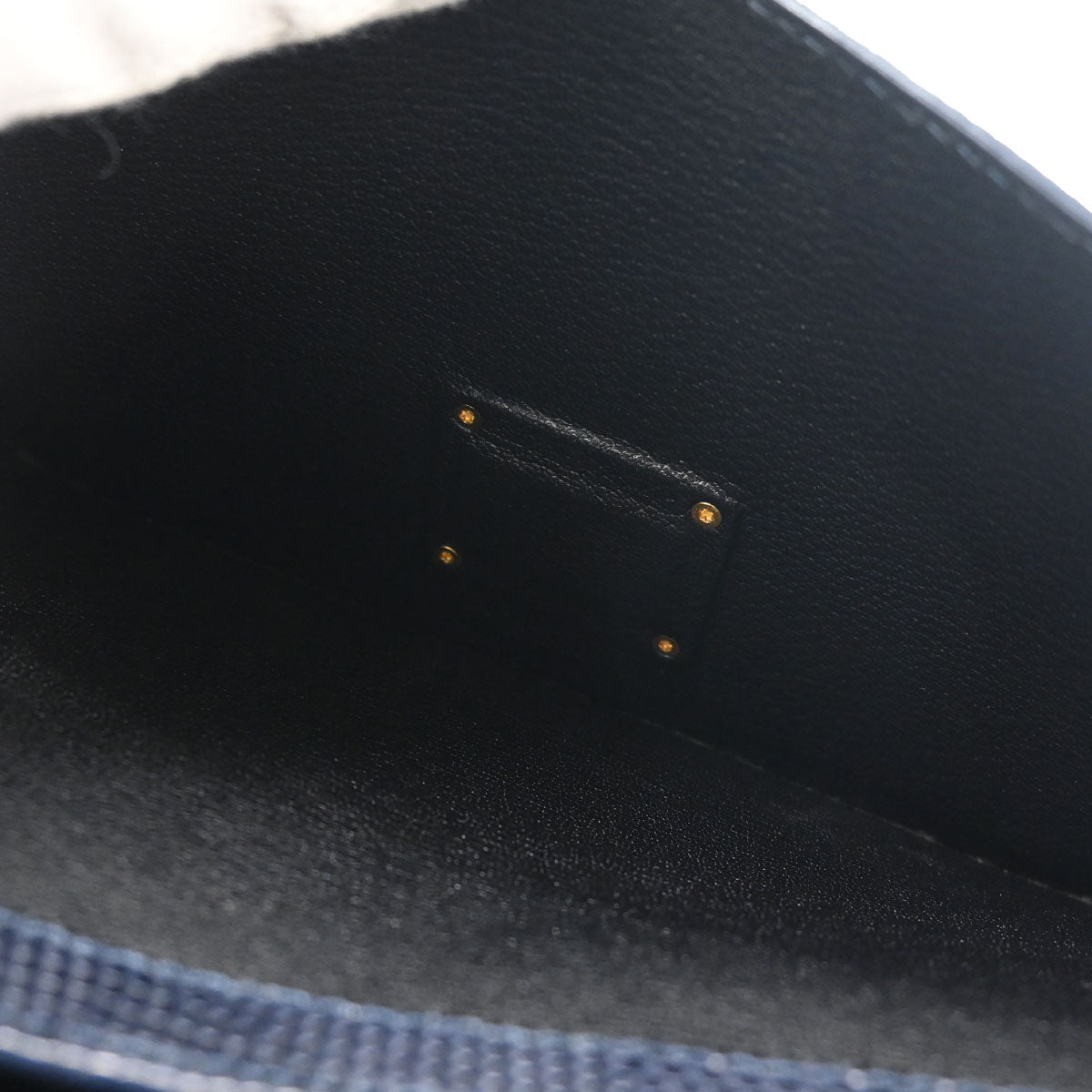 Louis Vuitton * Lizard Pochette Serie Dragonne Clutch