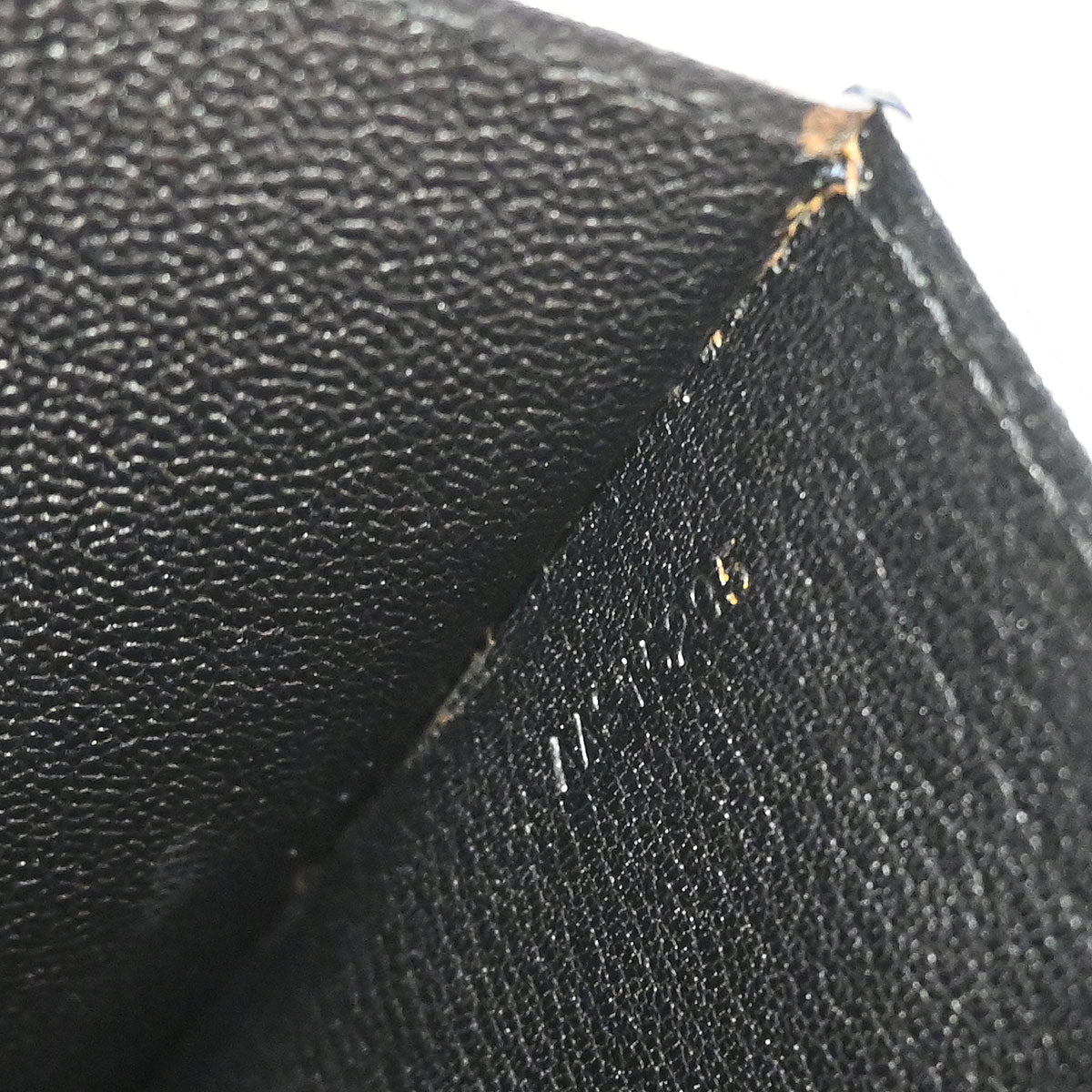Louis Vuitton * Lizard Pochette Serie Dragonne Clutch