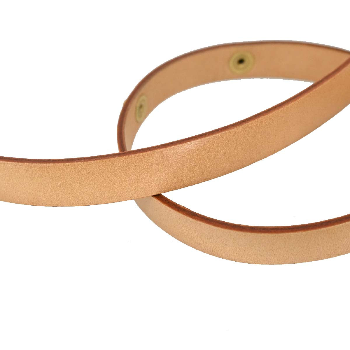 Louis Vuitton Pochette Florentine Belt Bum Bag #XS M51855