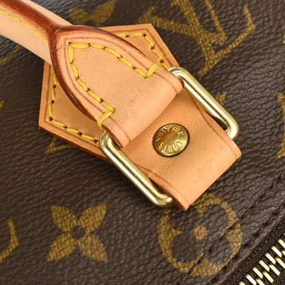 Louis Vuitton Monogram Speedy 25 Handbag M41528
