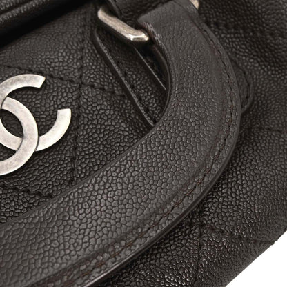 Chanel 2005-2006 Brown Caviar Handbag