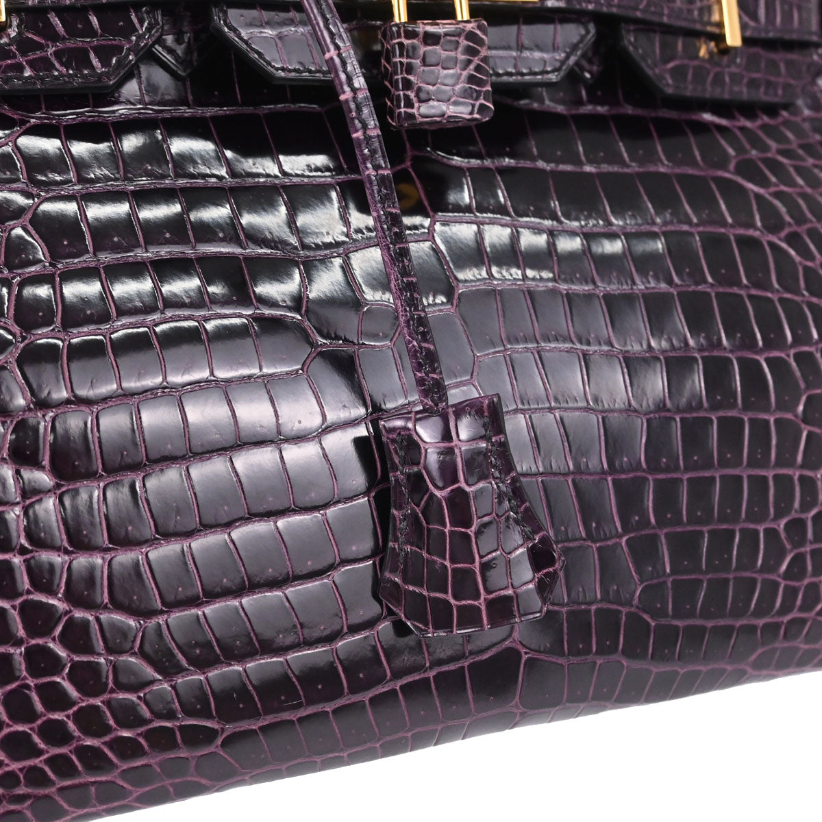 Hermes * Aubergine Porosus Birkin 30 Handbag