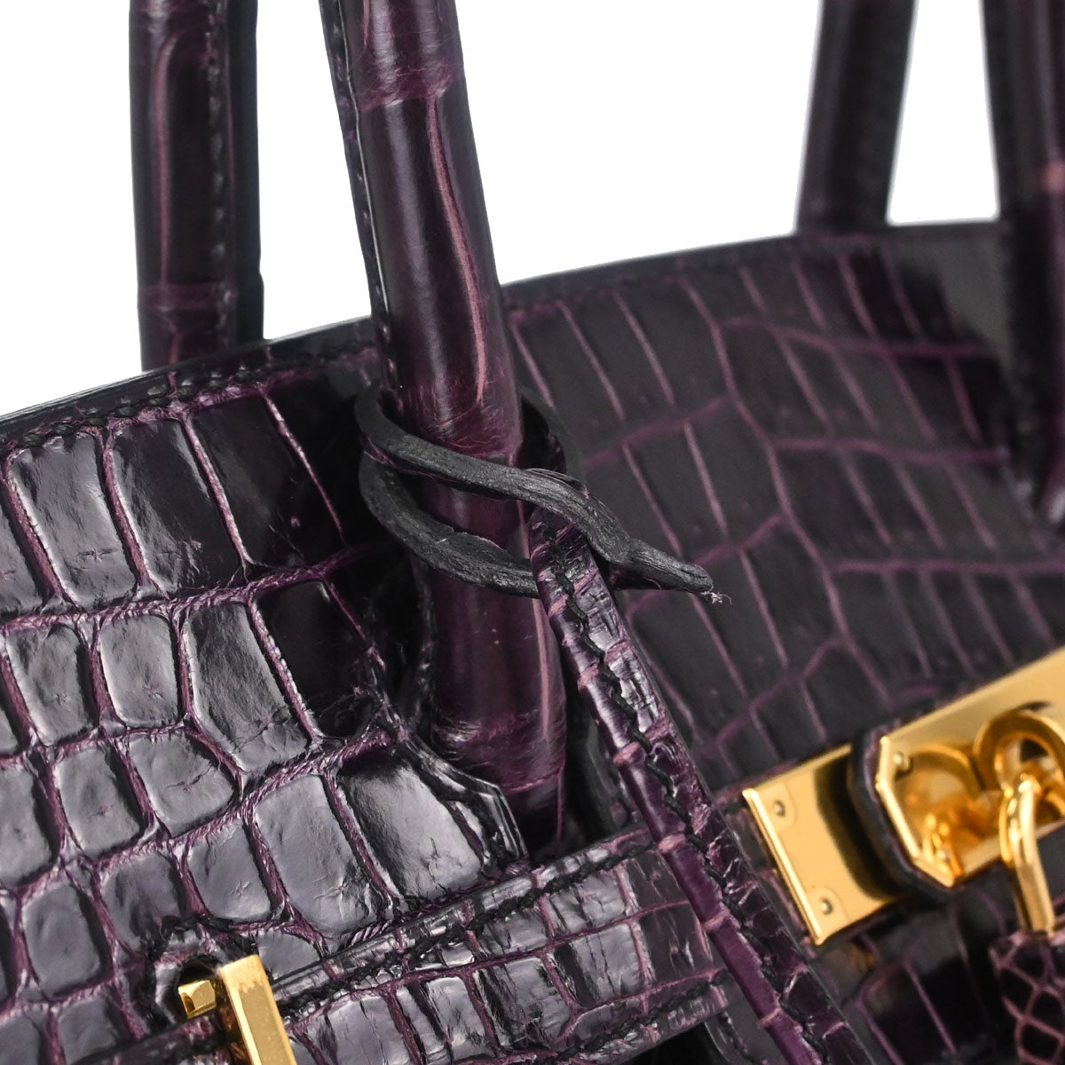 Hermes * Aubergine Porosus Birkin 30 Handbag