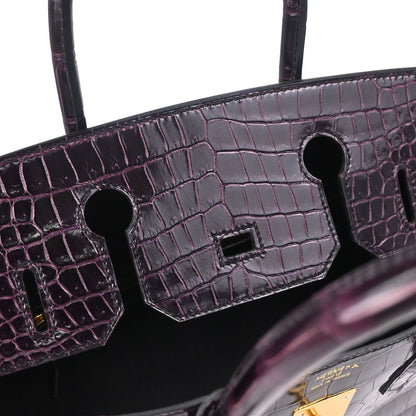 Hermes * Aubergine Porosus Birkin 30 Handbag