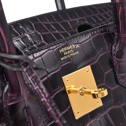 Hermes * Aubergine Porosus Birkin 30 Handbag