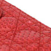 Christian Dior * Red Python Lady Dior Cannage Handbag