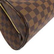 Louis Vuitton 2007 Damier Rivera MM Handbag N41434